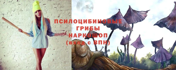 гидропоника Михайловск