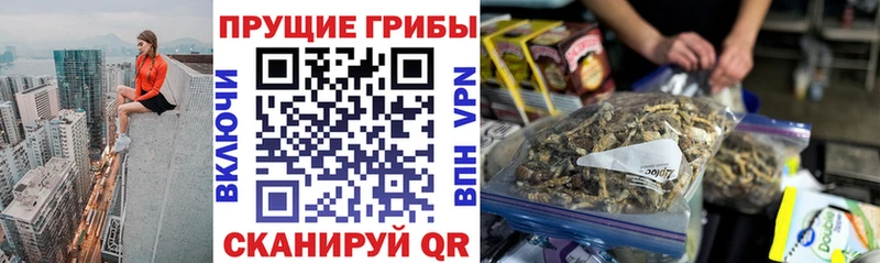 Галлюциногенные грибы мицелий  наркотики  Нариманов 